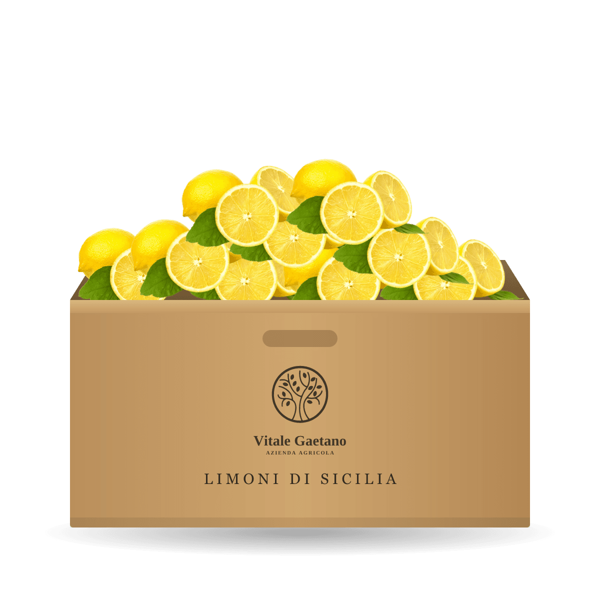 Primofiore Sicilian lemons