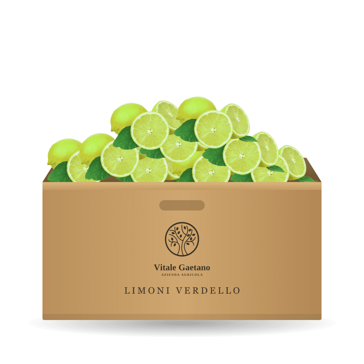 Limoni Verdello