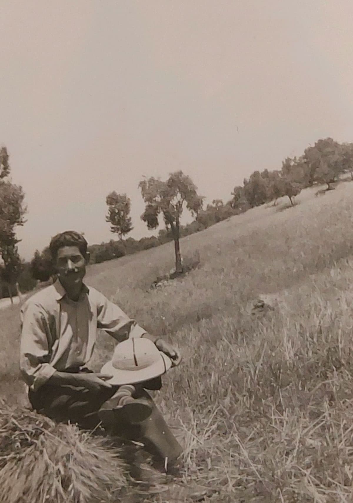 Gaetano Vitale